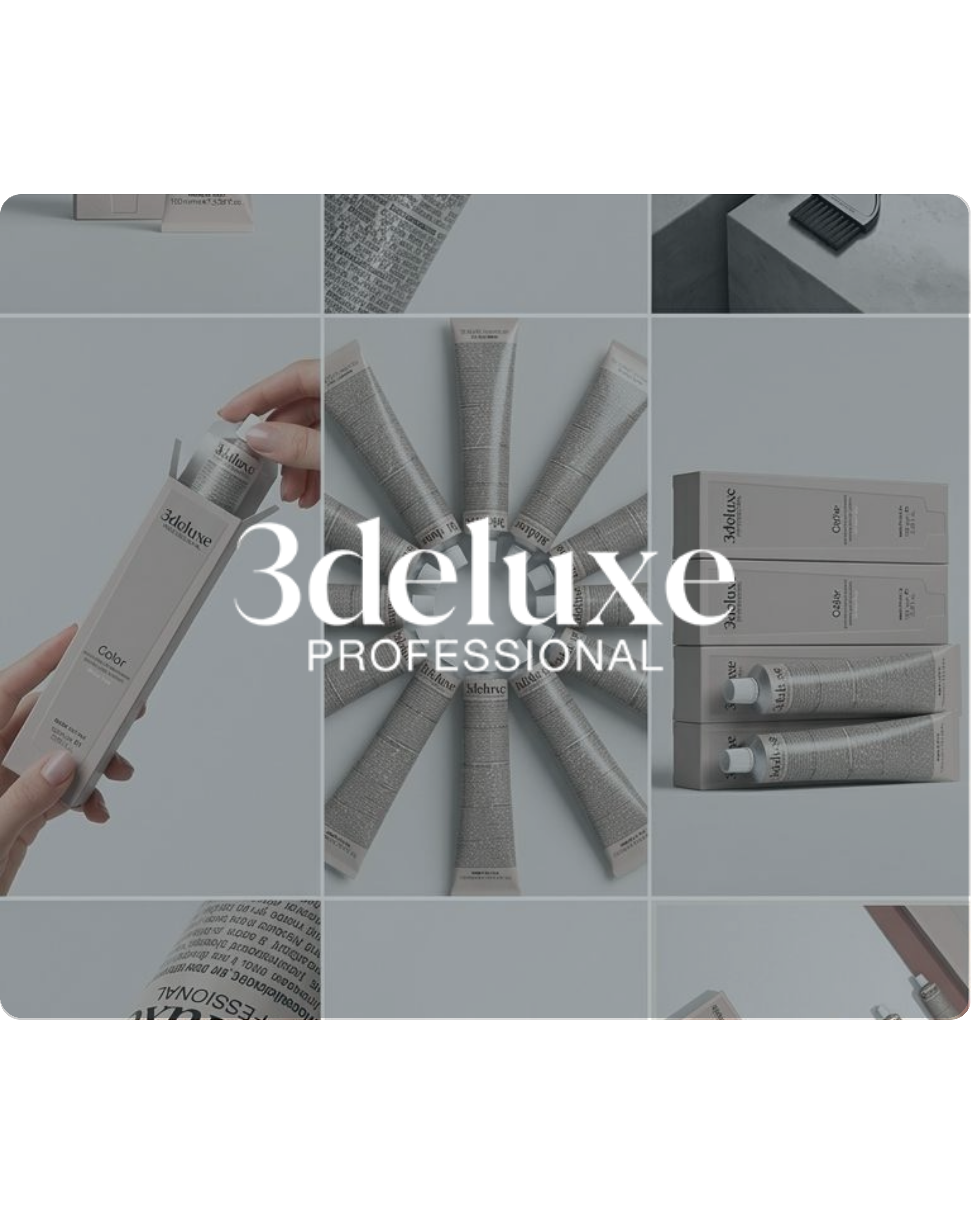3deluxe Professional